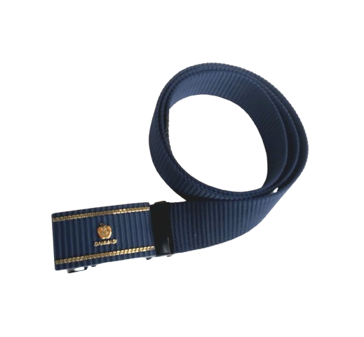 Belt 4